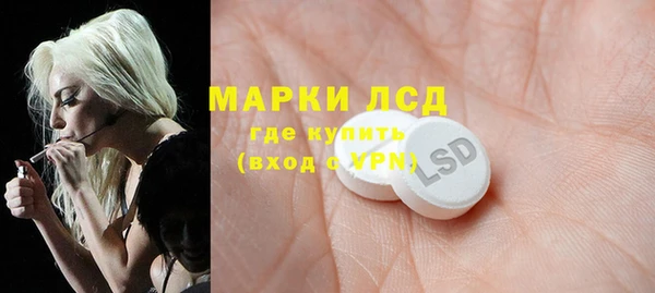 трава Аркадак
