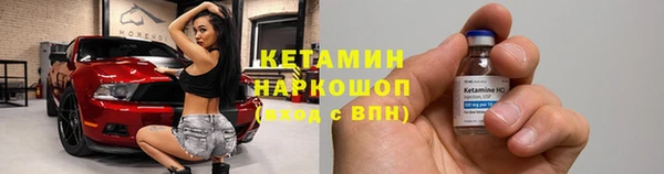 трава Аркадак