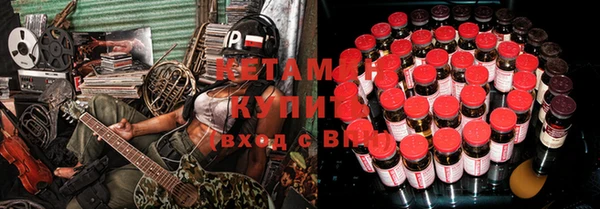трава Аркадак