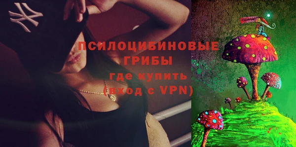 трава Аркадак